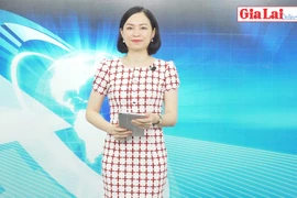 Gia Lai 48h: Đẩy mạnh kết nối tiêu thụ nông sản cho nông dân