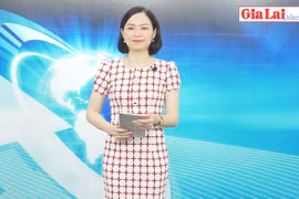 Gia Lai 48h: Đẩy mạnh kết nối tiêu thụ nông sản cho nông dân