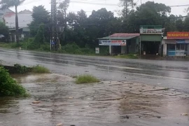 Pleiku: Phát hiện nam thanh niên tử vong bên lề đường