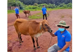 Chư Prông: Trao sinh kế cho 75 đoàn viên, thanh niên