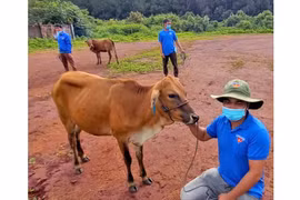 Chư Prông: Trao sinh kế cho 75 đoàn viên, thanh niên