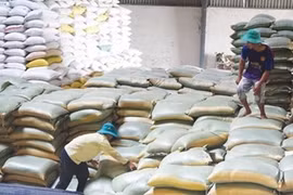Xuất cấp hơn 1.847 tấn gạo hỗ trợ người dân 2 tỉnh Quảng Nam, Quảng Ngãi bị ảnh hưởng bởi dịch Covid-19