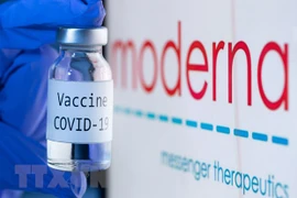 Moderna phát triển vaccine điều trị Covid-19 kết hợp cúm hàng năm