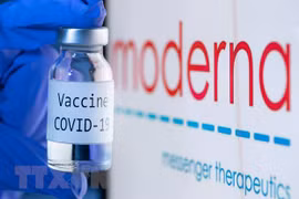 Moderna phát triển vaccine điều trị Covid-19 kết hợp cúm hàng năm
