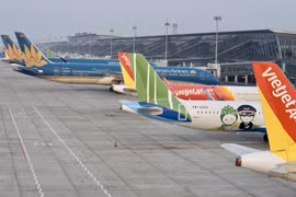 Mở lại đường bay nội địa: Hãng hàng không vi phạm quy định phòng dịch Covid-19 có thể bị tạm dừng bay