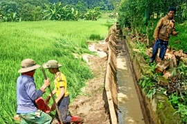 Chư Păh: Mưa lớn sạt lở kênh mương thủy lợi Ia Naih