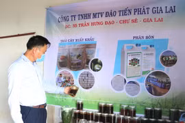 Phân bón hữu cơ "made in" Gia Lai