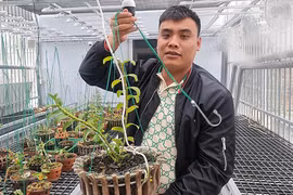 Đại gia lan đột biến khét tiếng buôn than lậu: Trốn thuế, "dựng" công nhân làm giám đốc