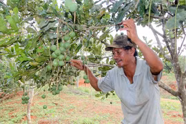 Bất ổn các dự án ổn định dân cư: Cần lắng nghe, đáp ứng nguyện vọng của dân