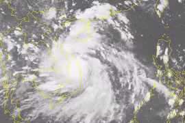 Tin khẩn cấp về cơn bão số 6: Gió giật cấp 10, cách Bình Định 180 km