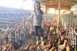 Nông dân Chư Păh thi đua sản xuất kinh doanh giỏi