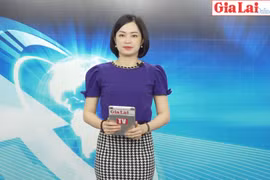 Gia Lai 48h: Giải Việt dã Báo Gia Lai lần thứ XV hứa hẹn những cuộc đua tài hấp dẫn