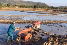 Hỗ trợ người dân Ayun sản xuất lúa nước