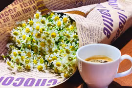 Thưởng thức cà phê ngon nhất thế giới ở Pleiku