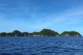 Palau bắt tàu cá Trung Quốc đánh bắt bất hợp pháp