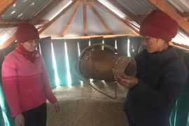 Kho thóc tình thương của phụ nữ Lơ Pang