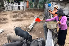 Sức lan tỏa của cuộc vận động "Toàn dân đoàn kết xây dựng nông thôn mới, đô thị văn minh"