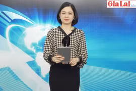 Gia Lai 48h: Tăng cường phòng cháy, chữa cháy rừng mùa khô 2020-2021