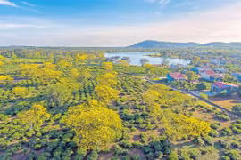 Du lịch Gia Lai: Trải nghiệm và chia sẻ