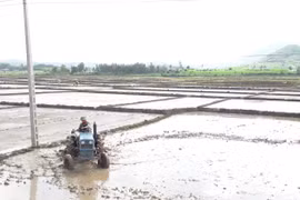 Kbang linh hoạt trong gieo trồng vụ Đông Xuân