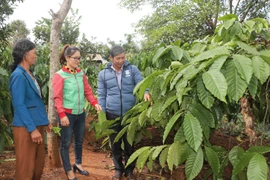 Ia Drăng: Điểm sáng trong công tác giảm nghèo