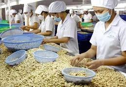 Gia Lai: Kim ngạch xuất-nhập khẩu tăng 5,1%