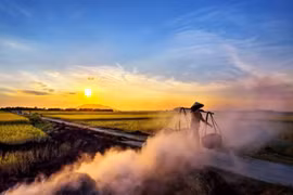 Nhớ sao ngọn khói ngày đông