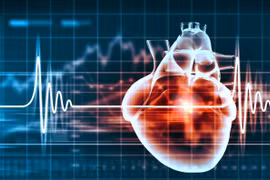 3 lợi ích đáng kinh ngạc của ca cao khiến bạn muốn thử ngay