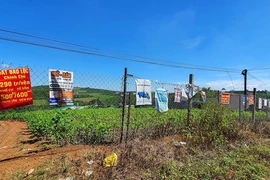 Phản hồi loạt bài "Bát nháo phân lô bán nền tại Nam Trung bộ - Tây Nguyên": Không quyết liệt ngăn chặn, dễ thành "điểm nóng"