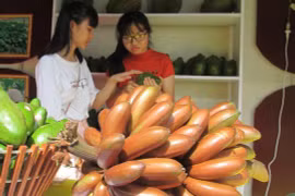 5 giống chuối nổi tiếng Việt Nam: Có loại xấu chưa từng có nhưng ăn lại cực ngon