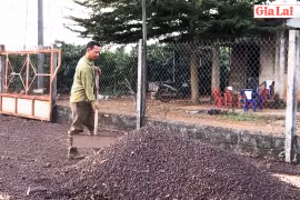 Nhà vườn trữ cà phê chờ giá lên