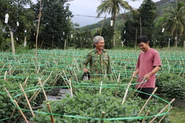 An Khê chú trọng phát triển kinh tế tập thể