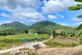 Xóm Mười Hai Bếp