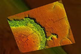 Hàng ngàn "bóng ma" 7 thế kỷ hiện ra khi quét laser khu rừng bí ẩn