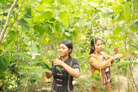 Bài 1: Thoát nghèo nhanh - nhìn từ Đam Rông