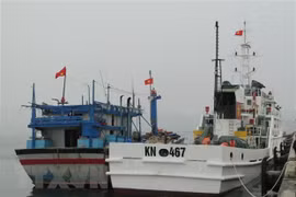 Bình Định: Cứu 11 người trên tàu hàng bị chìm trên biển