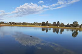 Quê hương ơi nhớ lắm