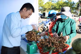Cơ hội kết nối, giao thương nông sản an toàn
