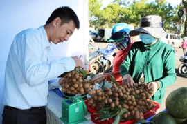 Cơ hội kết nối, giao thương nông sản an toàn