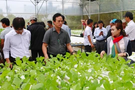 Tổ chức Diễn đàn "Giải pháp nâng cao chuỗi giá trị cung ứng rau, hoa, quả tại các tỉnh Nam Trung Bộ và Tây Nguyên"