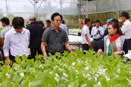 Tổ chức Diễn đàn "Giải pháp nâng cao chuỗi giá trị cung ứng rau, hoa, quả tại các tỉnh Nam Trung Bộ và Tây Nguyên"