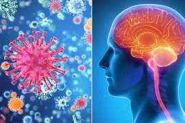 3 dấu hiệu nhận ra bệnh viêm màng não nguy hiểm chết người