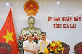 Ông Nguyễn Văn Lộc được giao phụ trách Văn phòng UBND tỉnh Gia Lai