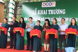 Ngành nông nghiệp Gia Lai: Một năm nhiều khởi sắc