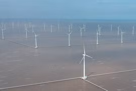 Kỳ vọng vào năng lượng tái tạo