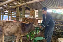 Pleiku quan tâm hỗ trợ người nghèo