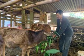Pleiku quan tâm hỗ trợ người nghèo