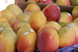 Những lợi ích không phải ai cũng biết từ quả xoài