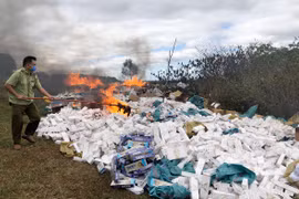 Gia Lai: Tiêu hủy hơn 208 ngàn bao thuốc lá điếu nhập lậu