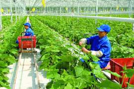 Đài Loan mở rộng tiếp nhận lao động Việt Nam ở 7 ngành nghề